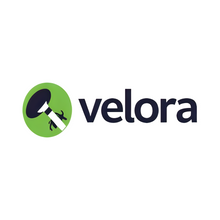Velora Systems logo